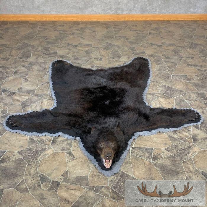 Black Bear Full-Size Taxidermy Rug For Sale - Creel Taxidermy