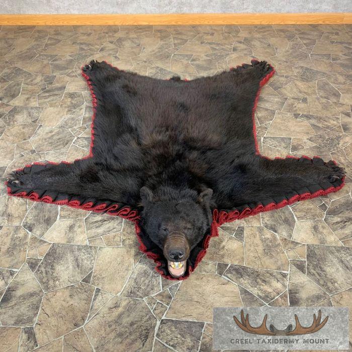 Black Bear Full-Size Taxidermy Rug For Sale