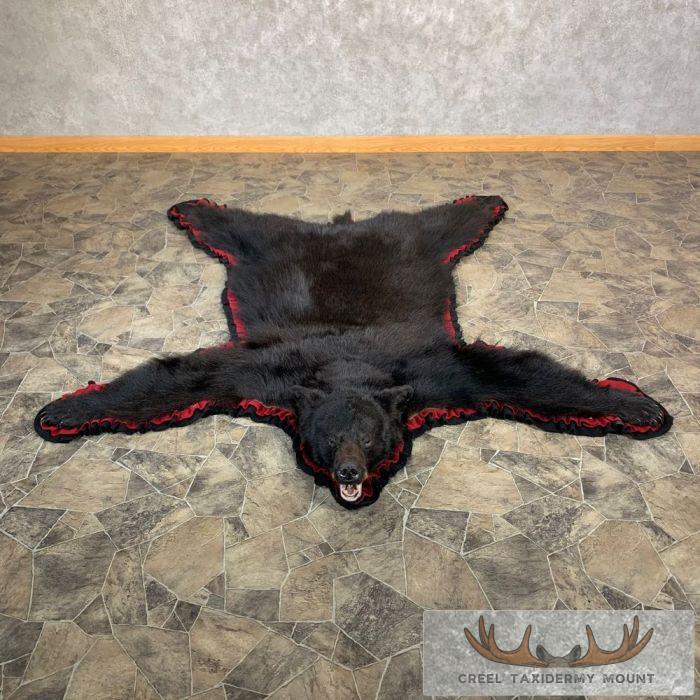 Black Bear Full-Size Taxidermy Rug For Sale