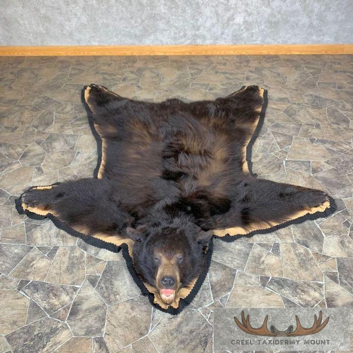 Black Bear Full-Size Taxidermy Rug For Sale