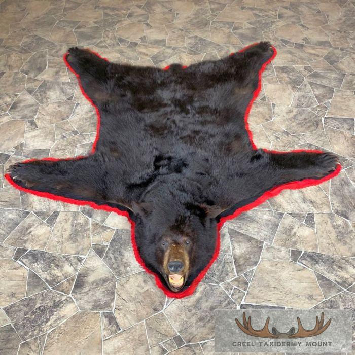 Black Bear Full-Size Taxidermy Rug For Sale