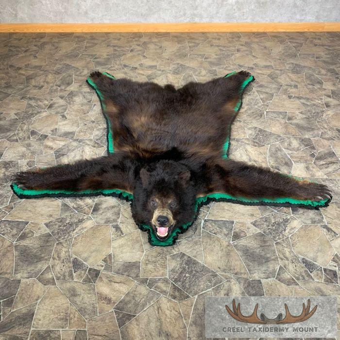 Black Bear Full-Size Taxidermy Rug For Sale - Creel Taxidermy