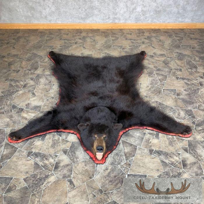 Black Bear Full-Size Taxidermy Rug For Sale
