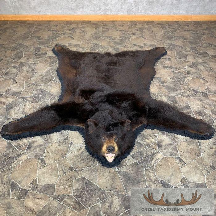 Black Bear Full-Size Taxidermy Rug For Sale