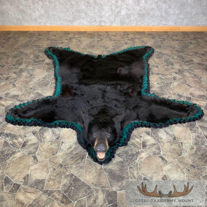 Black Bear Full-Size Taxidermy Rug For Sale