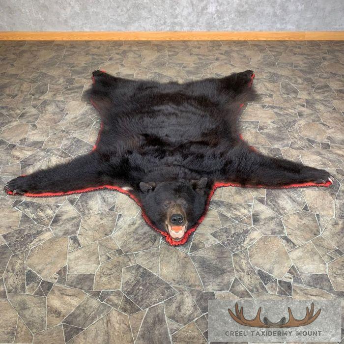 Black Bear Full-Size Taxidermy Rug For Sale