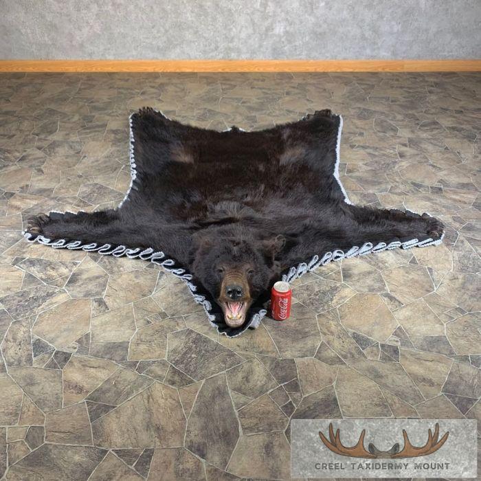 Black Bear Full-Size Taxidermy Rug For Sale