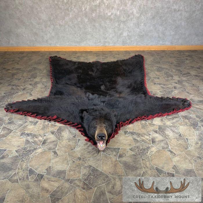 Black Bear Full-Size Taxidermy Rug For Sale