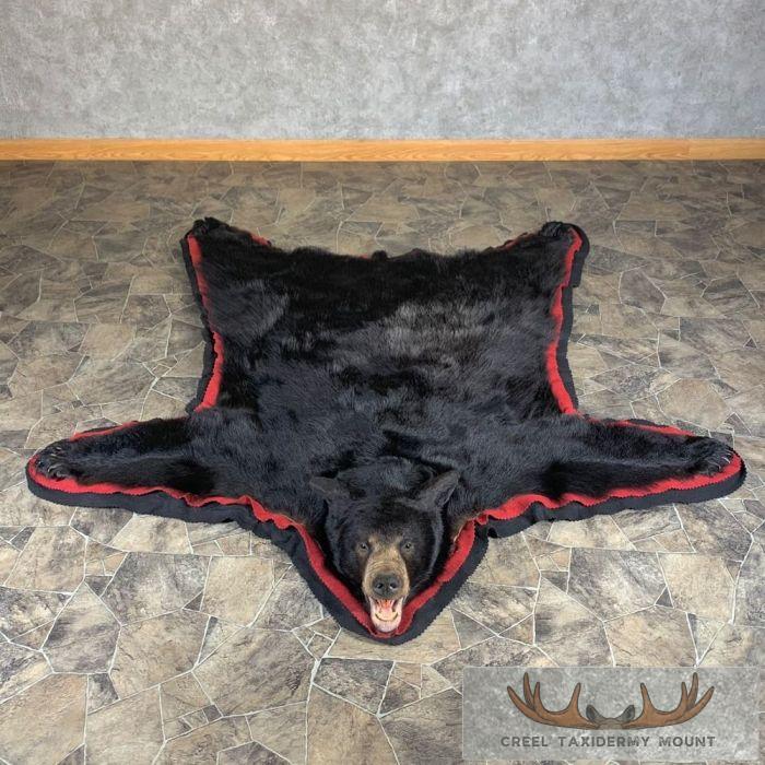 Black Bear Full-Size Taxidermy Rug For Sale