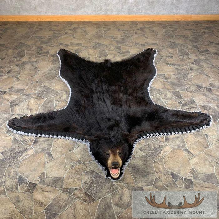 Black Bear Full-Size Taxidermy Rug For Sale