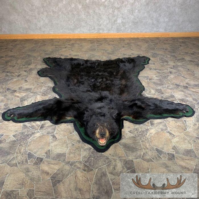 Black Bear Full-Size Taxidermy Rug For Sale
