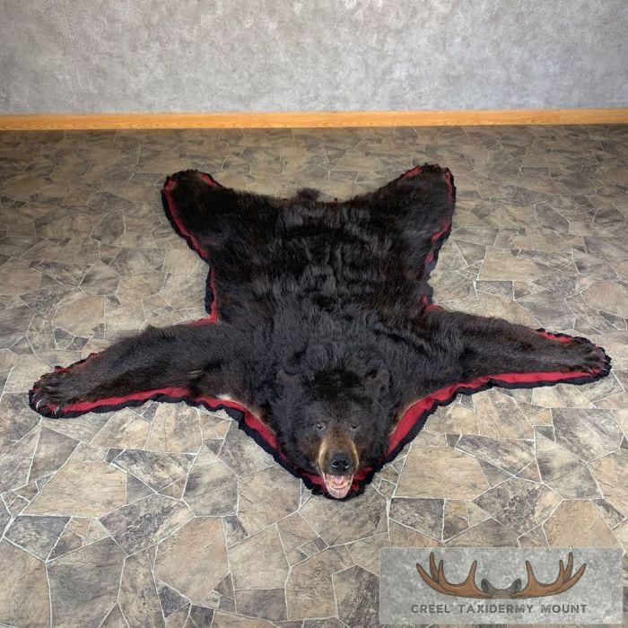 Black Bear Full-Size Taxidermy Rug For Sale