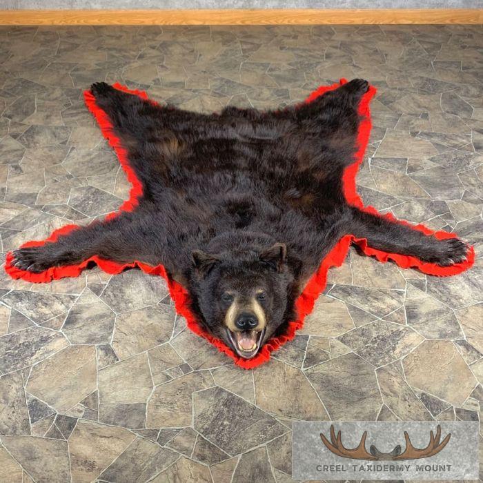 Black Bear Full-Size Taxidermy Rug For Sale