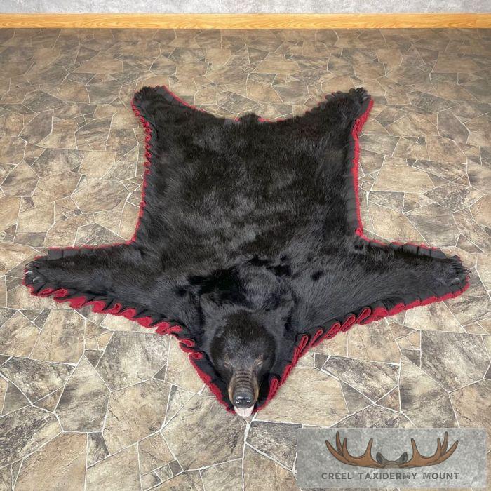 Black Bear Full-Size Taxidermy Rug For Sale