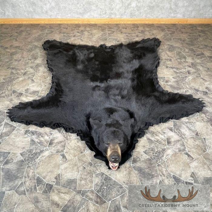 Black Bear Full-Size Taxidermy Rug For Sale