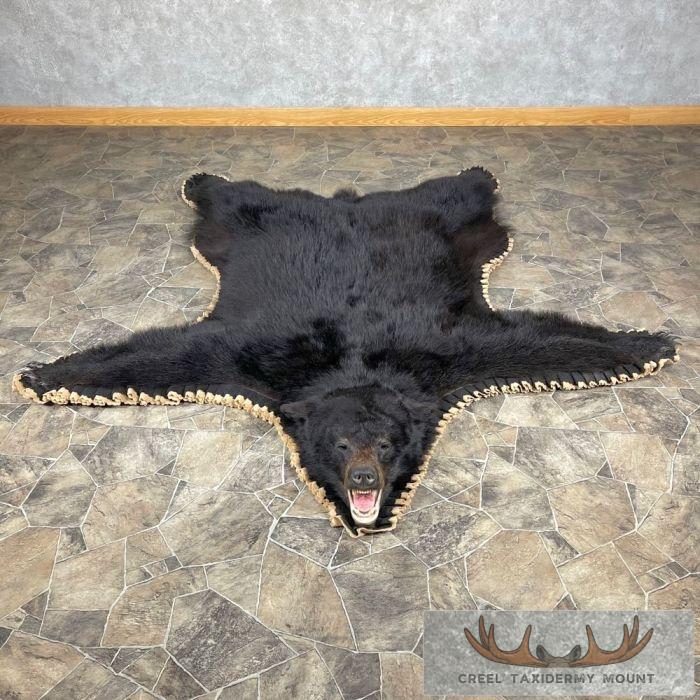 Black Bear Full-Size Taxidermy Rug For Sale