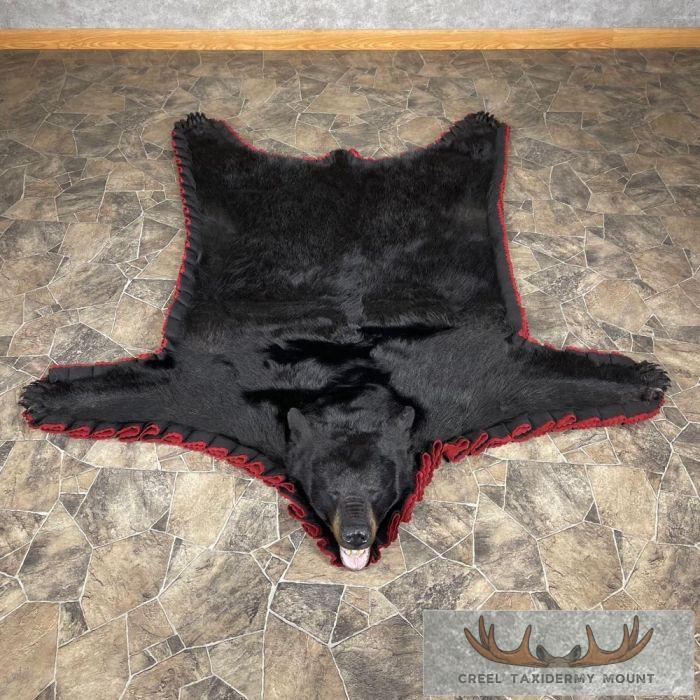 Black Bear Full-Size Taxidermy Rug For Sale