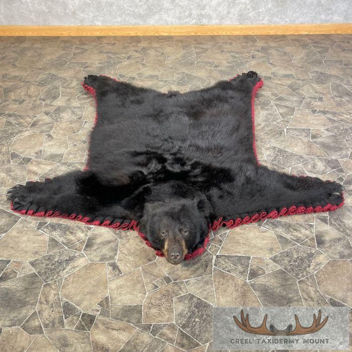Black Bear Full-Size Taxidermy Rug For Sale