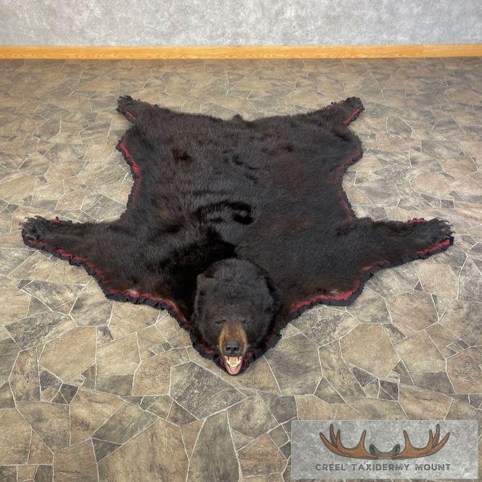 Black Bear Full-Size Taxidermy Rug For Sale