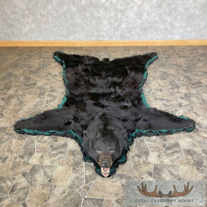 Black Bear Full-Size Taxidermy Rug For Sale