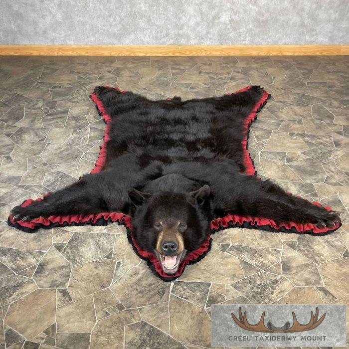 Black Bear Full-Size Taxidermy Rug For Sale