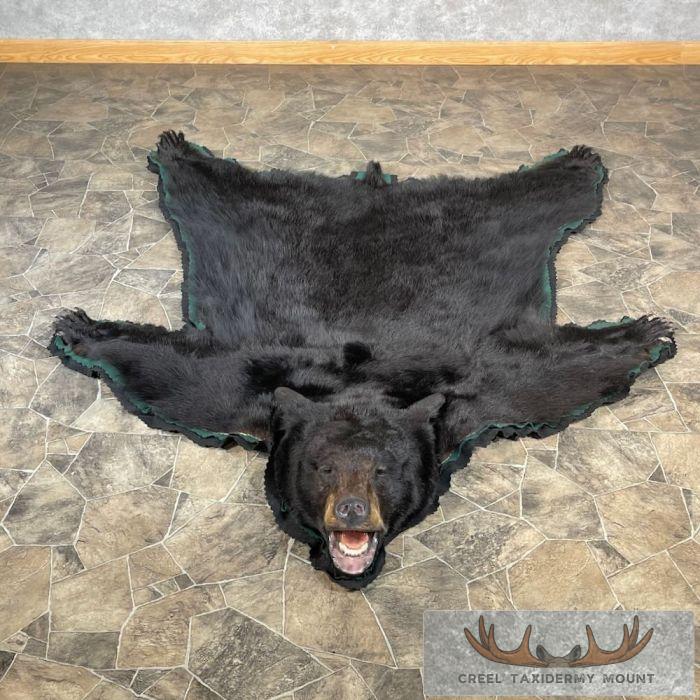 Black Bear Full-Size Taxidermy Rug For Sale