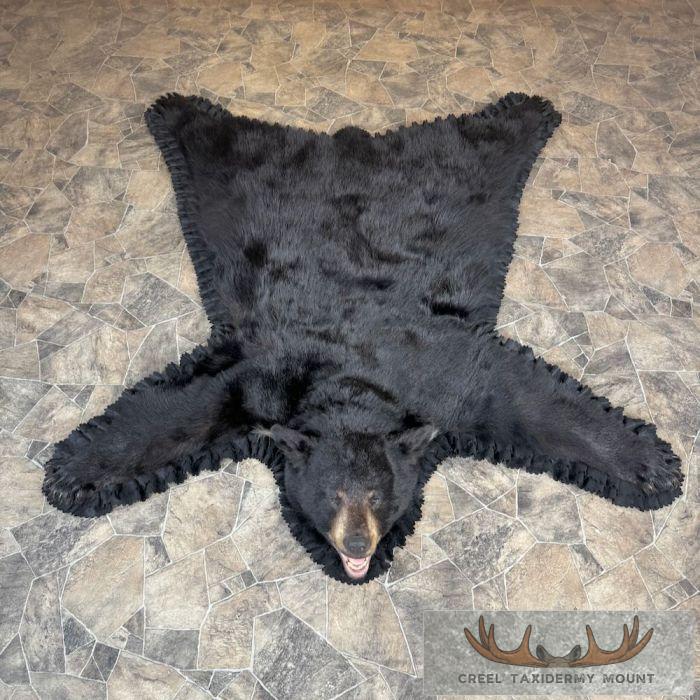 Black Bear Full-Size Taxidermy Rug For Sale
