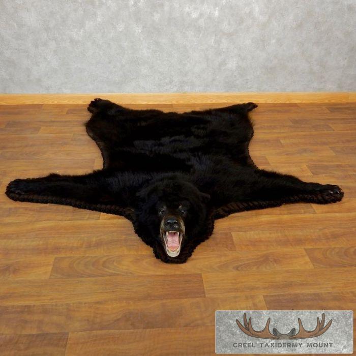 Black Bear Full-Size Taxidermy Rug For Sale