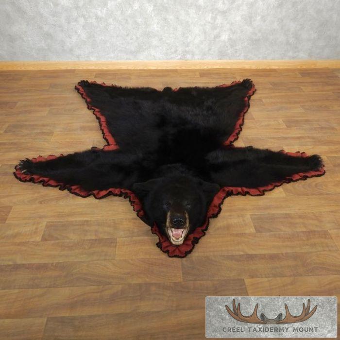 Black Bear Full-Size Taxidermy Rug For Sale