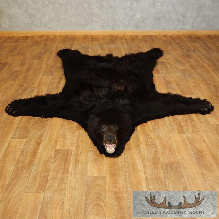 Black Bear Full-Size Taxidermy Rug For Sale