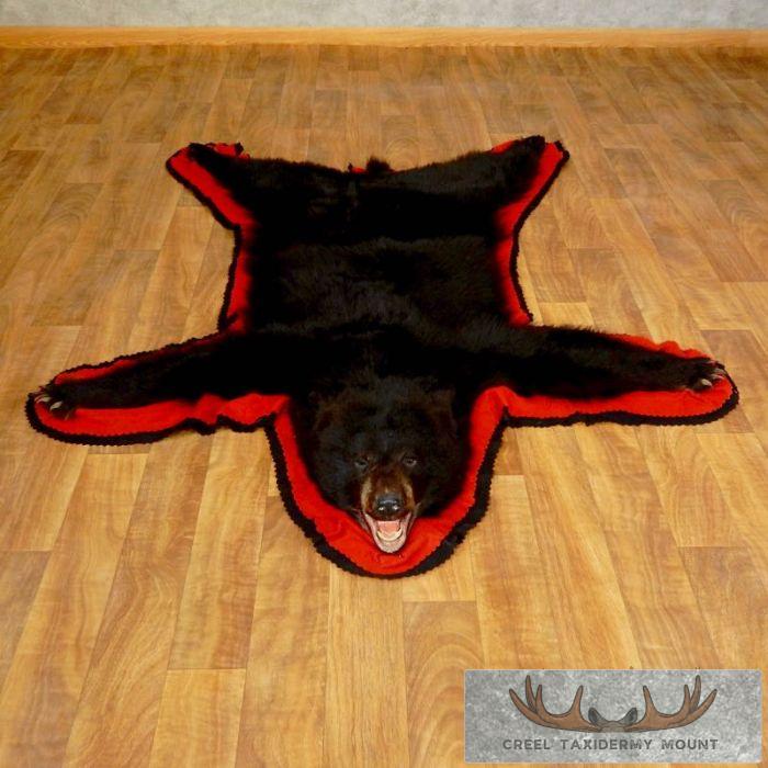Black Bear Full-Size Taxidermy Rug For Sale