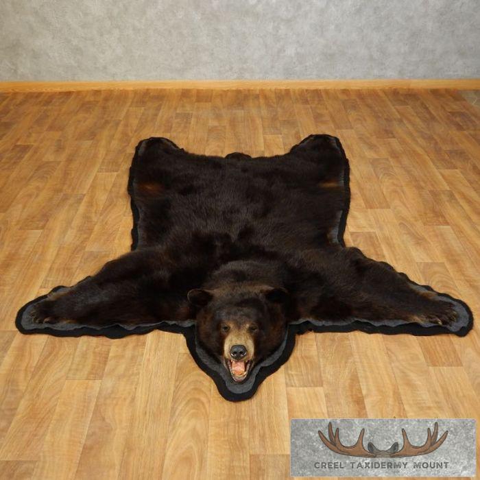 Black Bear Full-Size Taxidermy Rug For Sale