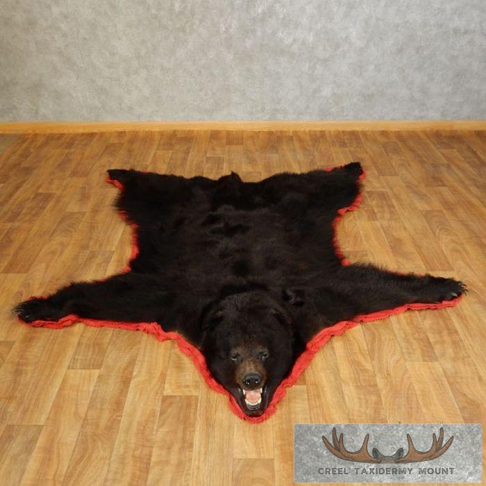 Black Bear Full-Size Taxidermy Rug For Sale