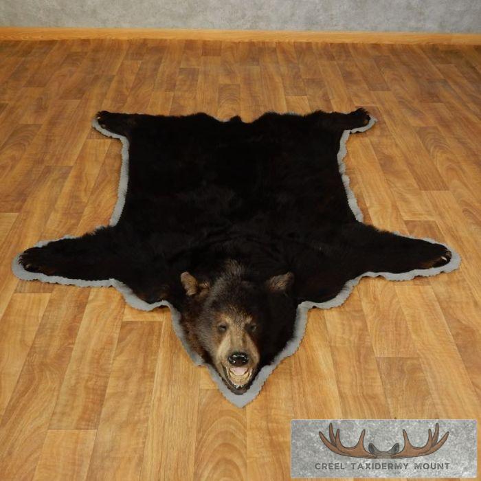 Black Bear Full-Size Taxidermy Rug For Sale