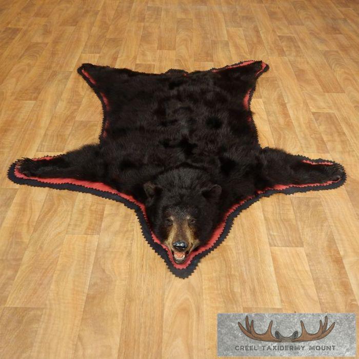 Black Bear Full-Size Taxidermy Rug For Sale