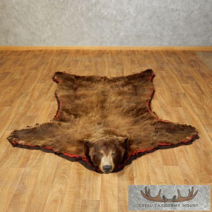 Cinnamon Phase Black Bear Full-Size Taxidermy Rug For Sale