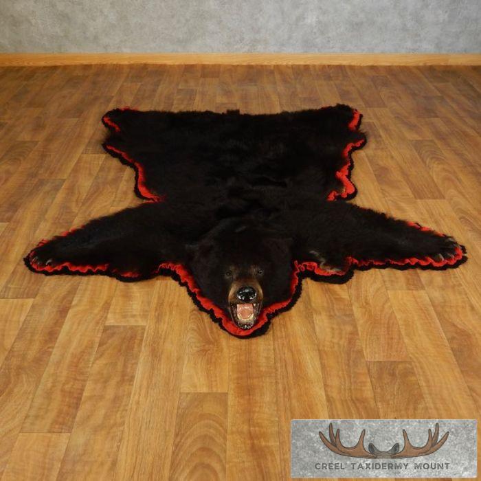 Black Bear Full-Size Taxidermy Rug For Sale