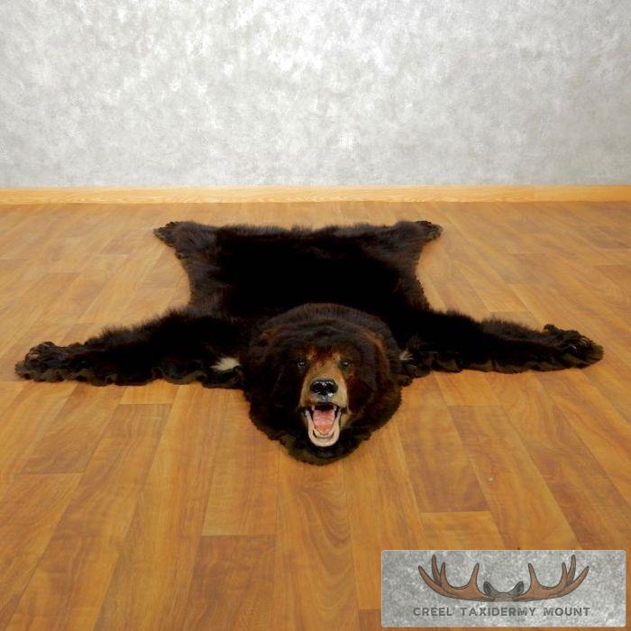 Black Bear Full-Size Taxidermy Rug For Sale