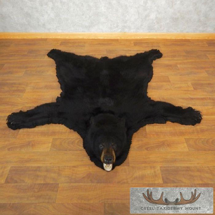 Black Bear Full-Size Taxidermy Rug For Sale