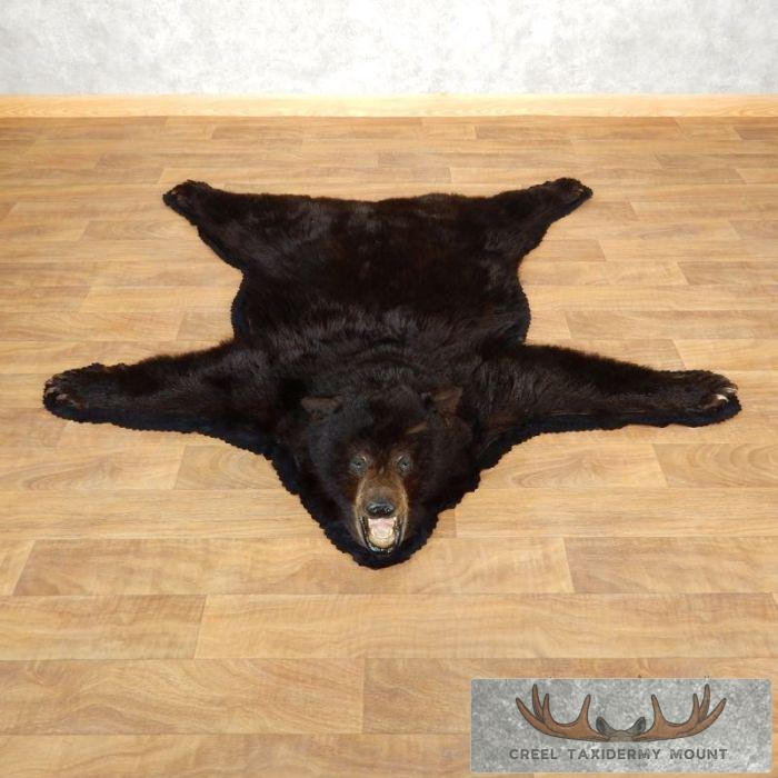 Black Bear Full-Size Taxidermy Rug For Sale