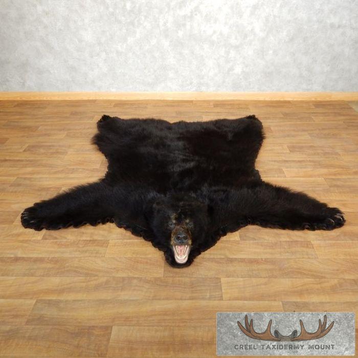 Black Bear Full-Size Taxidermy Rug For Sale