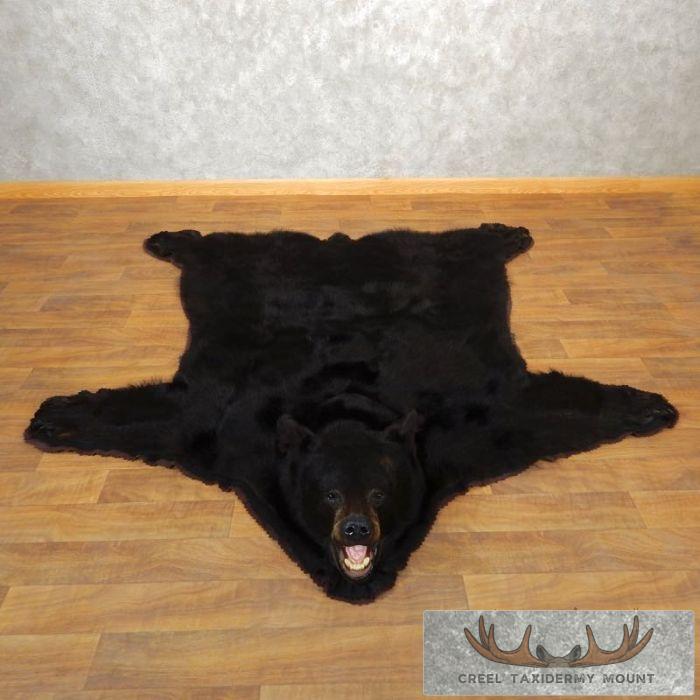 Black Bear Full-Size Taxidermy Rug For Sale