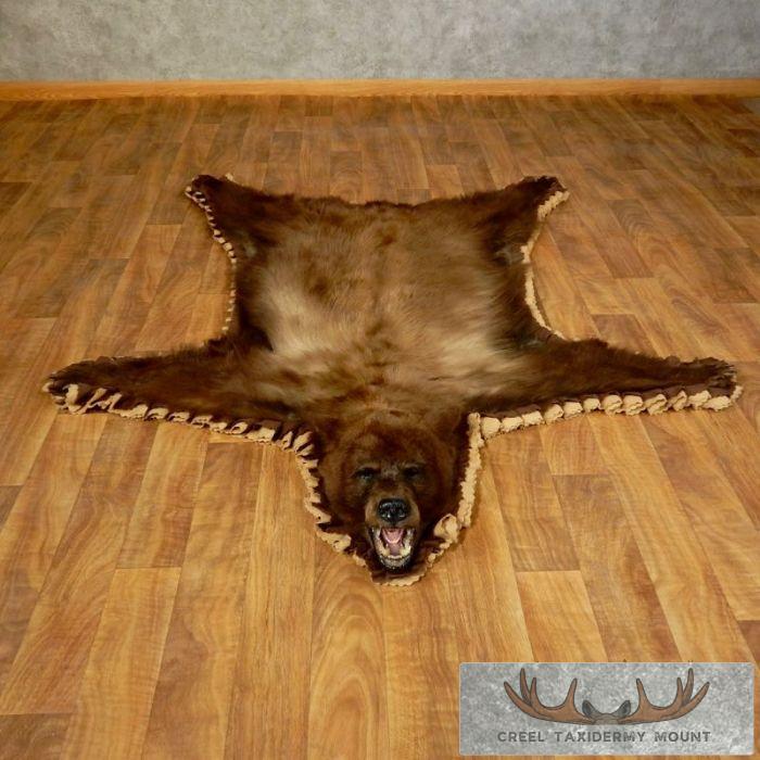 Cinnamon Phase Black Bear Full-Size Taxidermy Rug For Sale
