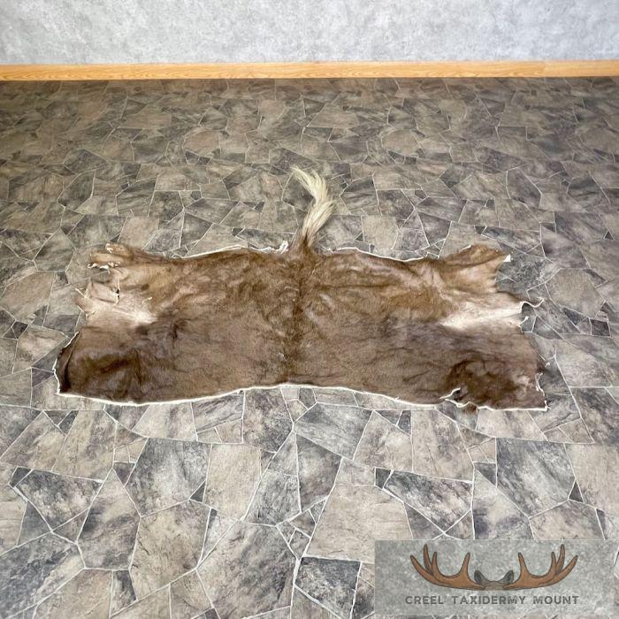Black Wildebeest Back Hide For Sale