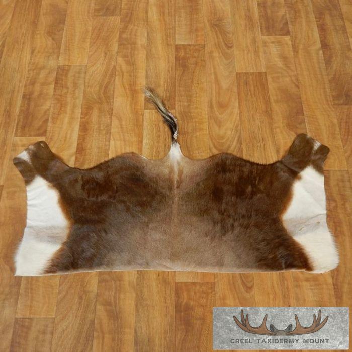 Blesbok Back Hide Taxidermy Rug For Sale