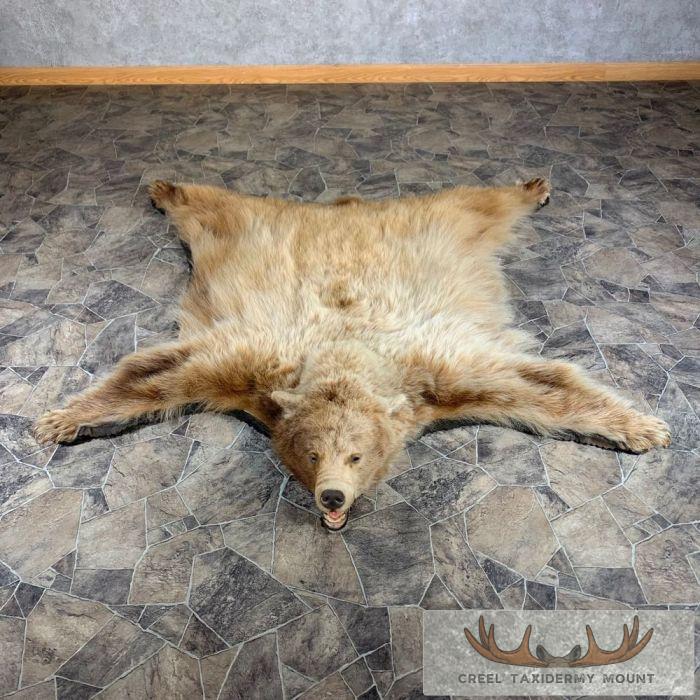 Blonde Black Bear Full-Size Taxidermy Rug For Sale