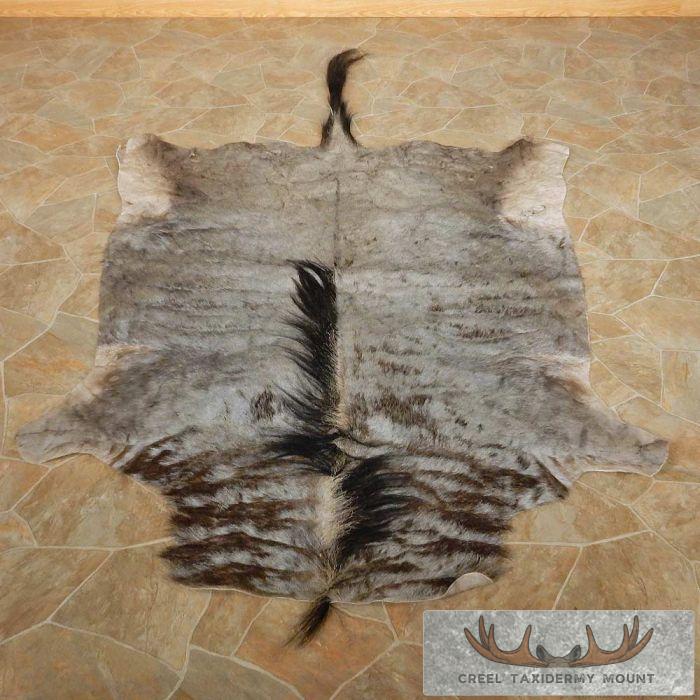 Blue Wildebeest Taxidermy Hide Mount For Sale