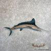 Blue Marlin Taxidermy Fish Mount For Sale