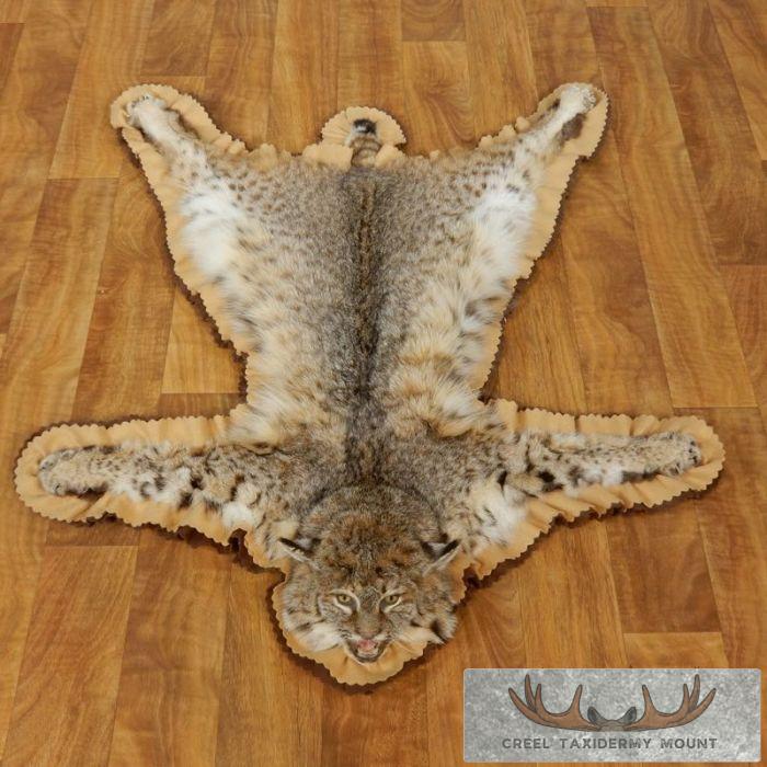 Bobcat Taxidermy Rug Mount w/ Open Mouth For Sale