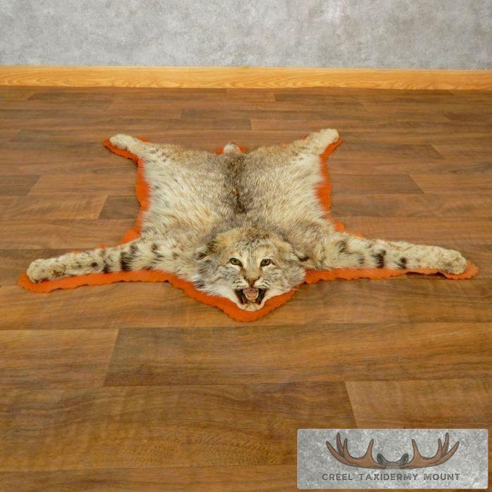 Bobcat Taxidermy Rug Mount w/ Open Mouth For Sale